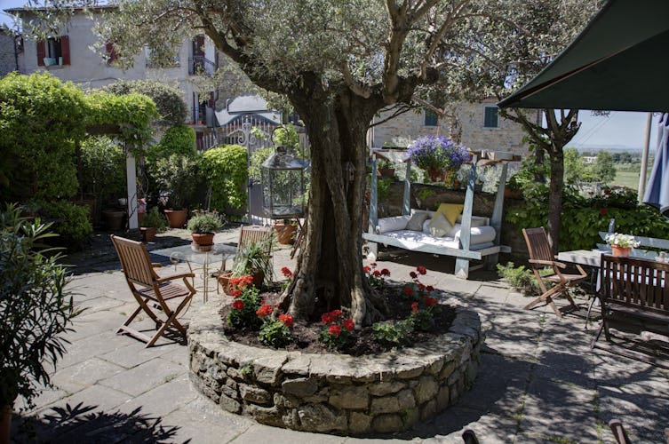 Il Sole Del Sodo - Olive tree terrace